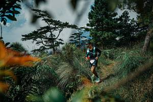 BIB: 
                            <button type="button" onclick="openModal(25258096)" class="btn btn-primary btn-sm float-right btn-popup" data-toggle="modal" data-target=".modal-high-quality">
                        <i class="fas fa-shopping-cart"></i> Add to Cart
                    </button>
                                            <button type="button" onclick="isThisMe(25258096, true)" class="btn btn-success btn-sm float-right btn-popup btn-isme hidden" data-toggle="tooltip" data-placement="bottom" title="นี่คือรูปของคุณใช่ไหม คลิกที่นี่เพื่อเอาเข้าอัลบั้ม">
                        <i class="fas fa-plus"></i> Add to album
                    </button>
                    <button type="button" onclick="isThisMe(25258096, false)" class="btn btn-warning btn-sm float-right btn-popup btn-isnotme hidden">
                        <i class="fas fa-ban"></i> Remove from album
                    </button>